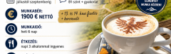 520/4. Pincér állás alpesi szálloda Tirol