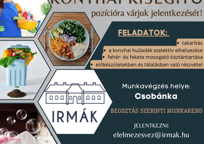 Konyhai kisegítőt keresünk