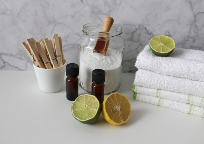 543. Szálloda takarító páros német munka Bodensee