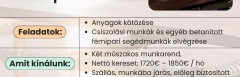 Betanított segédmunkásokat keresünk Hollandiába