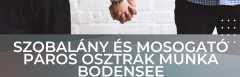 Szobalány és Mosogató páros osztrák munka Bodensee